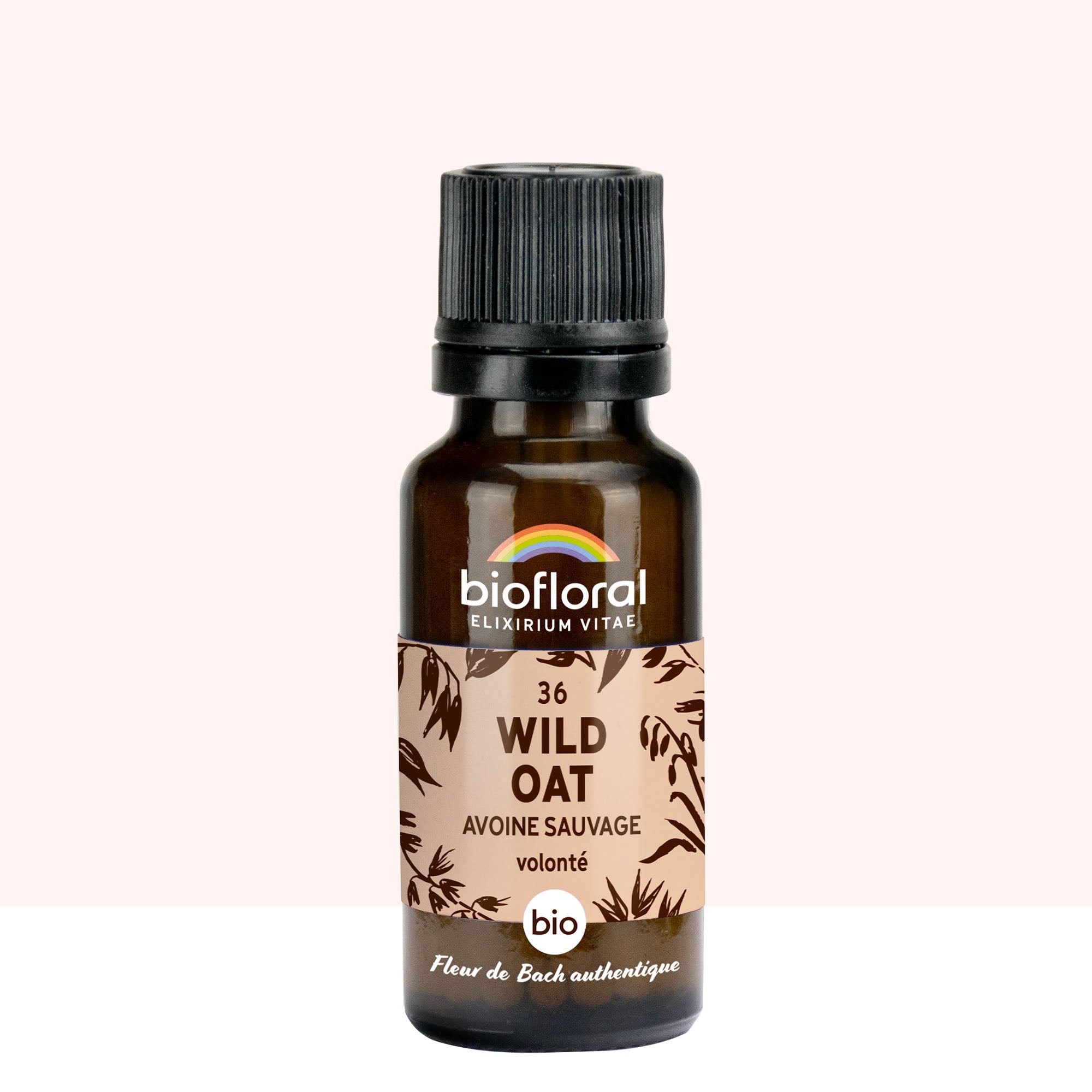 36 Wild Oat, Avoine Sauvage - Bio