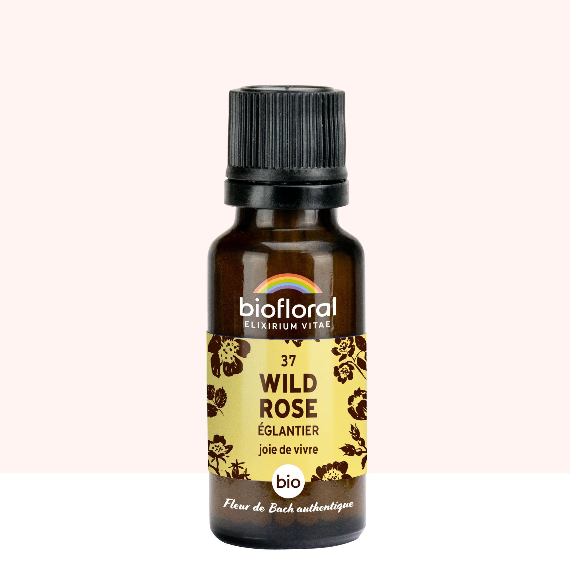 37 Wild Rose, Églantier - Bio