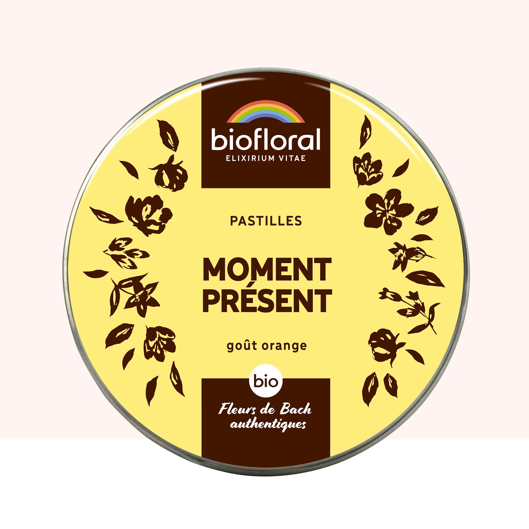 Moment Présent - Bio