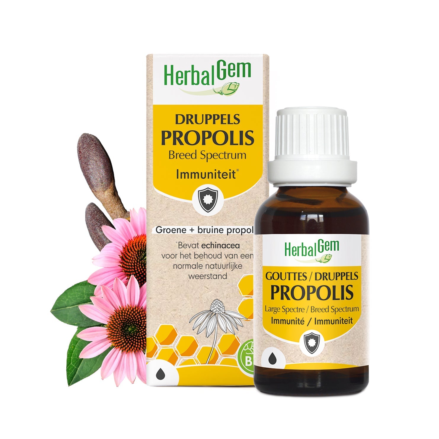 Propolis Large Spectre - Bio