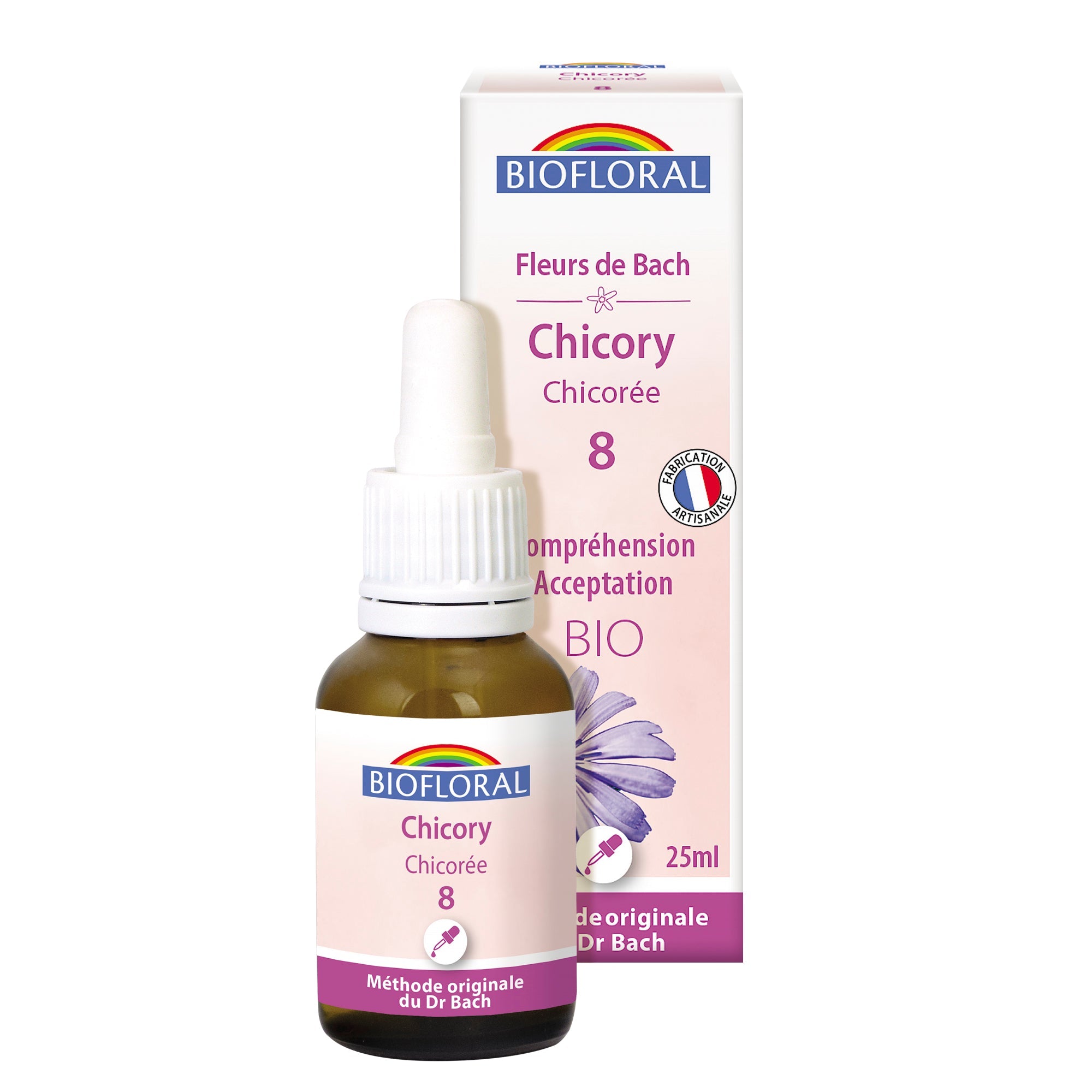 08 - Chicory - Chicorée - Bio