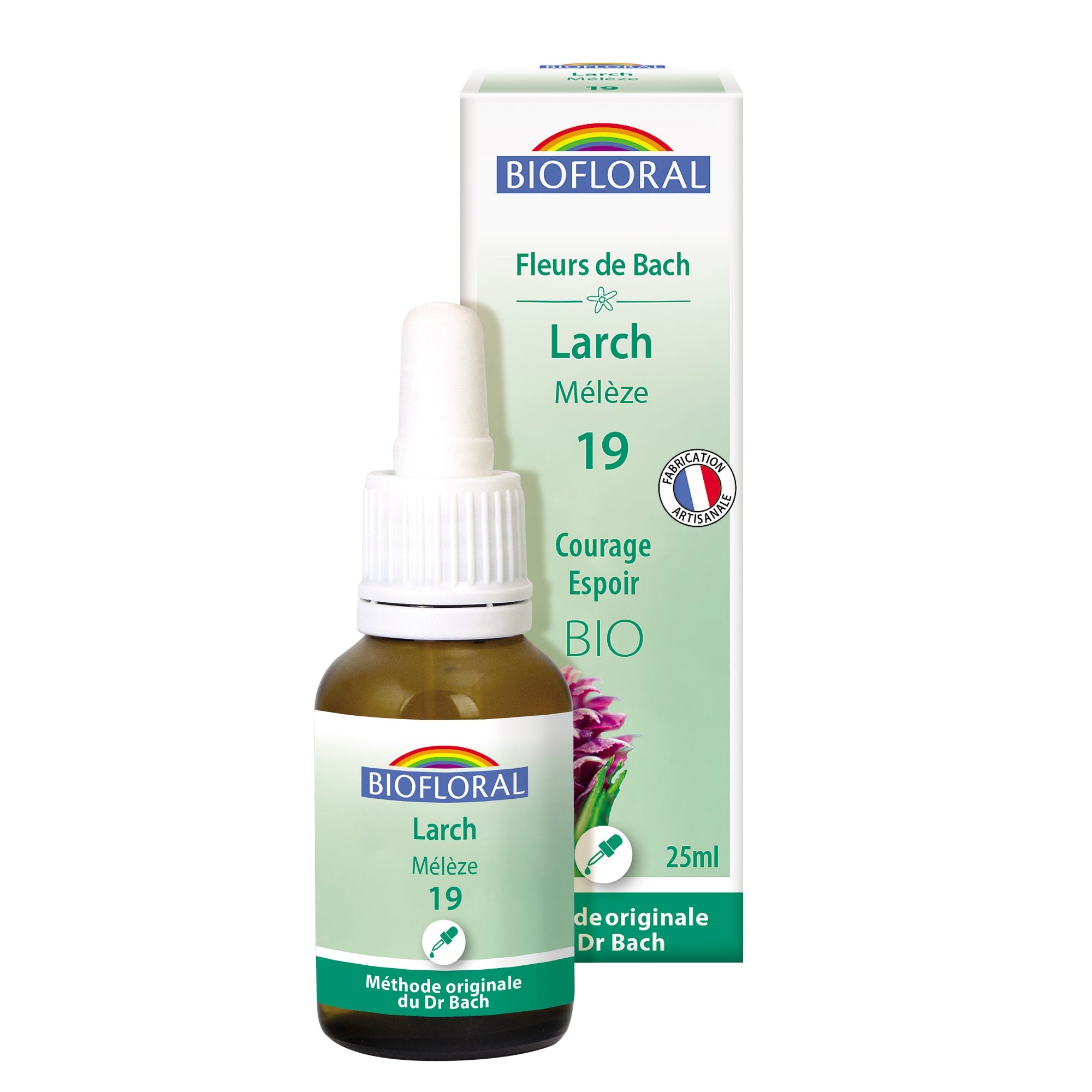 19 - Larch - Mélèze - Bio